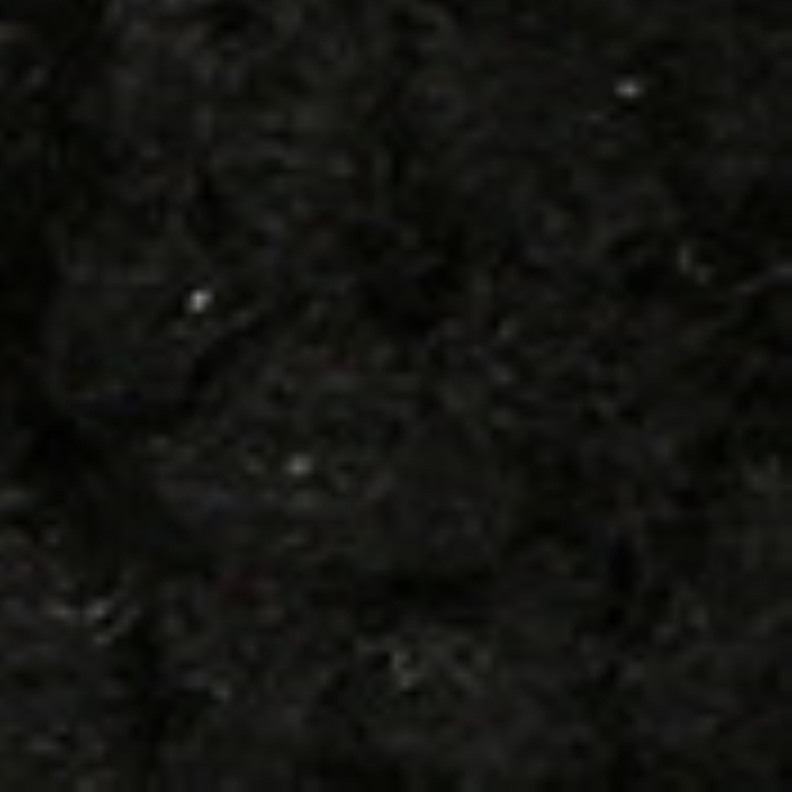 Vionic Relax Ii womens Slide Slipper - Black Shearling - Swatch