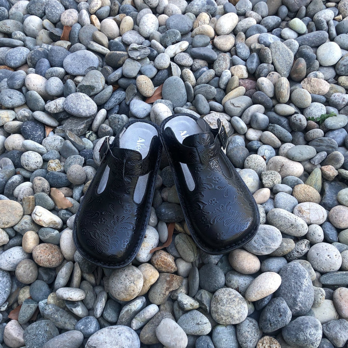 Alegria Classic Rocker Comfort Arch Support Women's Clog - Hello Doily - 2