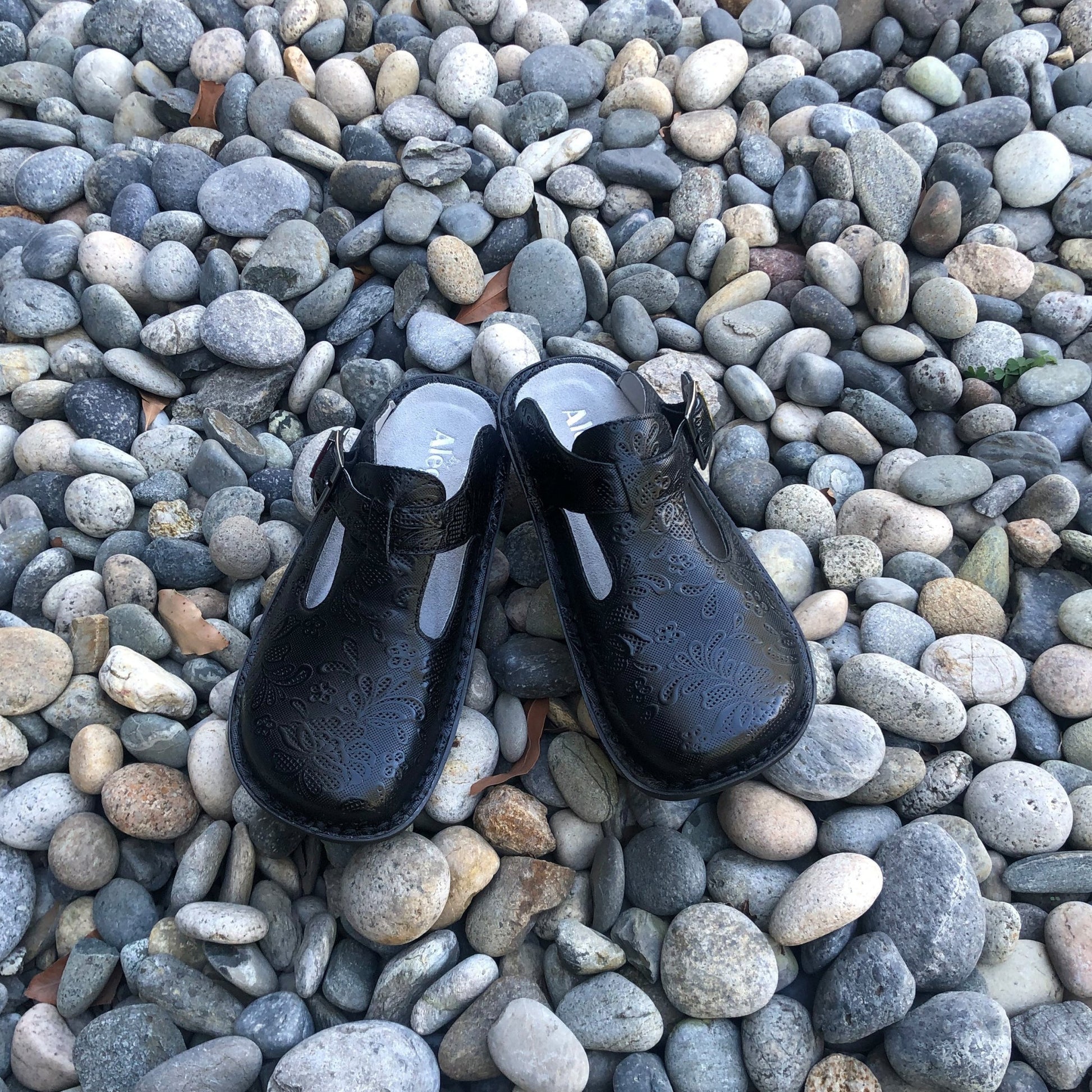 Alegria Classic Rocker Comfort Arch Support Women's Clog - Hello Doily - 2