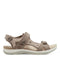 Light Brown/pink